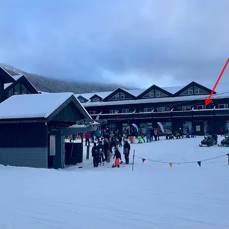 Alpintunet Uvdal