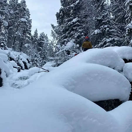 Alpintunet Uvdal Sonstebo