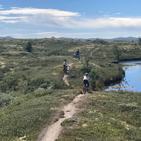 Alpintunet Uvdal *
