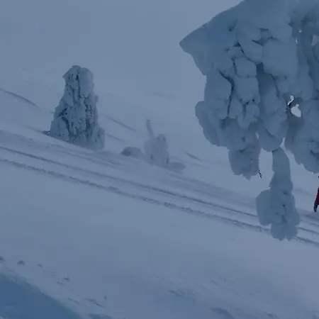 Alpintunet Uvdal * Sonstebo