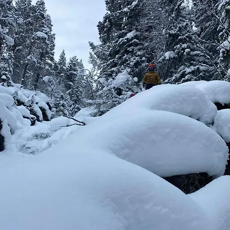 Alpintunet Uvdal Sonstebo